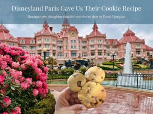 Disneyland Paris Mickey Chocolate Chip cookie recipe Food Allergy Friendly