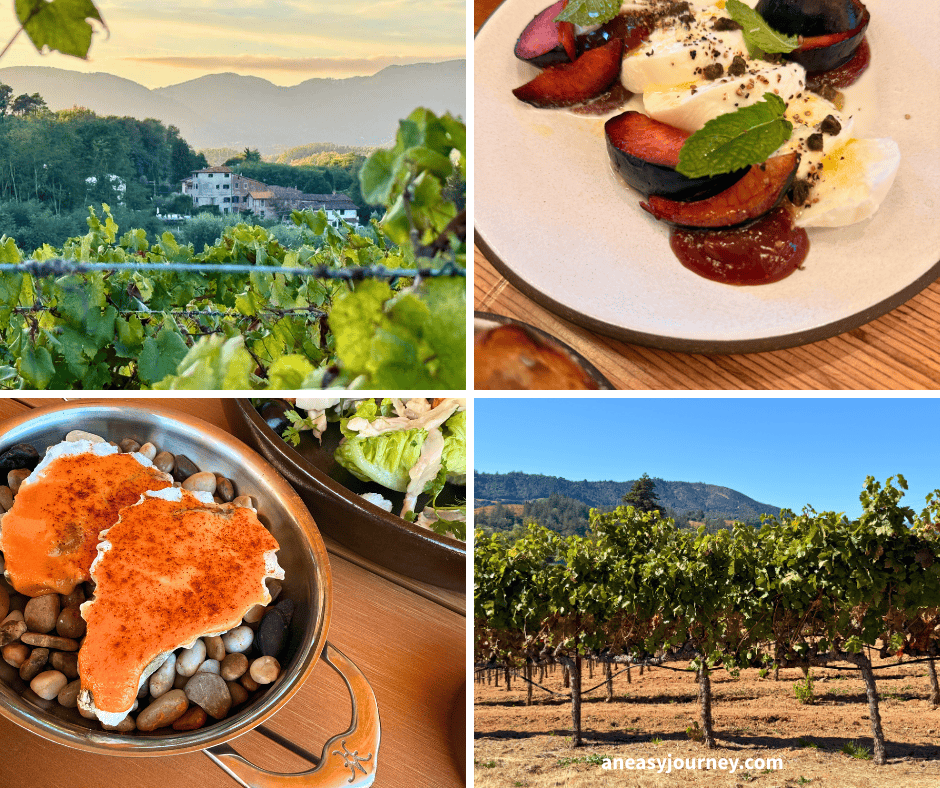 Northern California with Food Allergies.