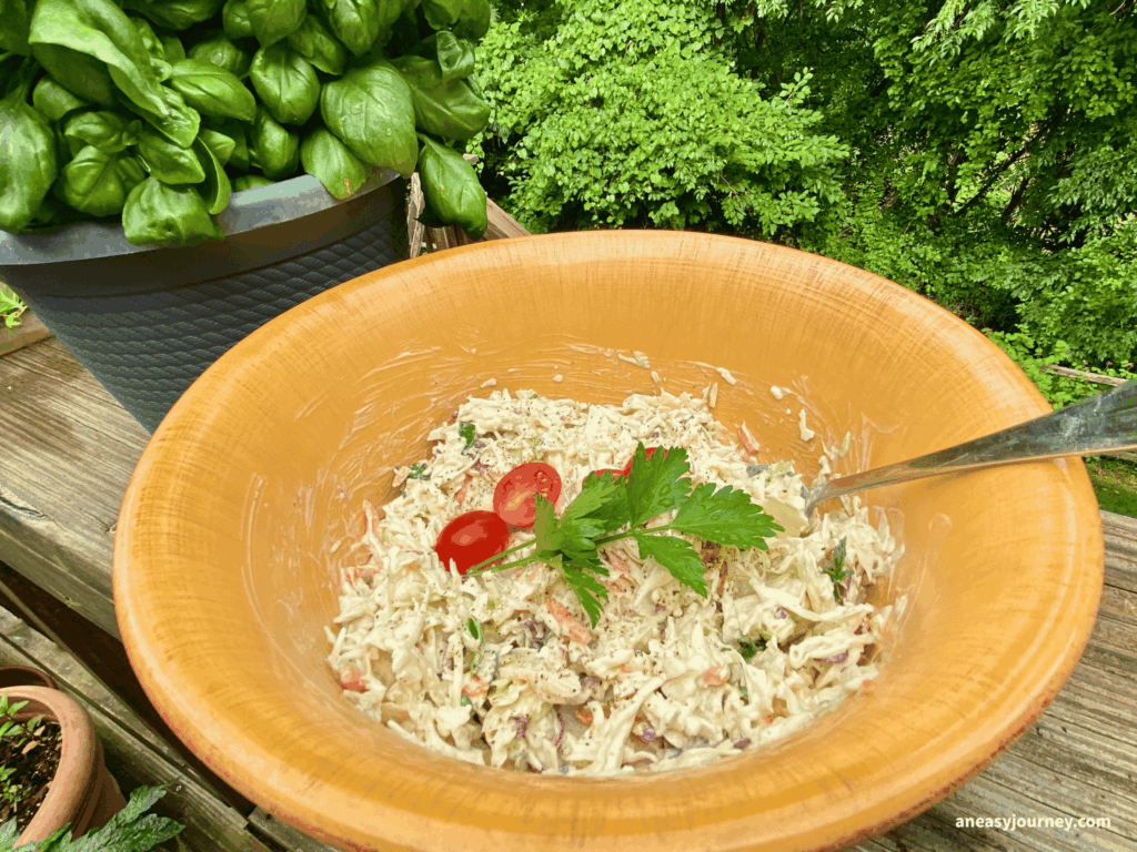 Top 9 Allergen Free Coleslaw Recipe.