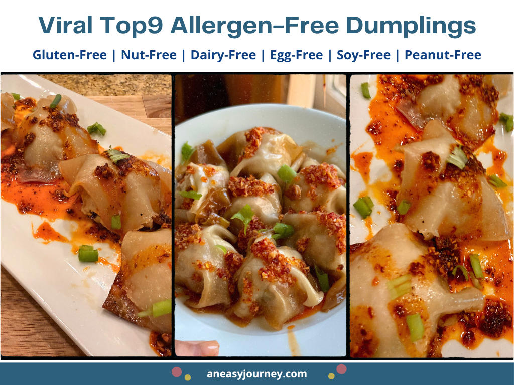 Food Allergy Friendly Top9 Free Dumpling recipe.