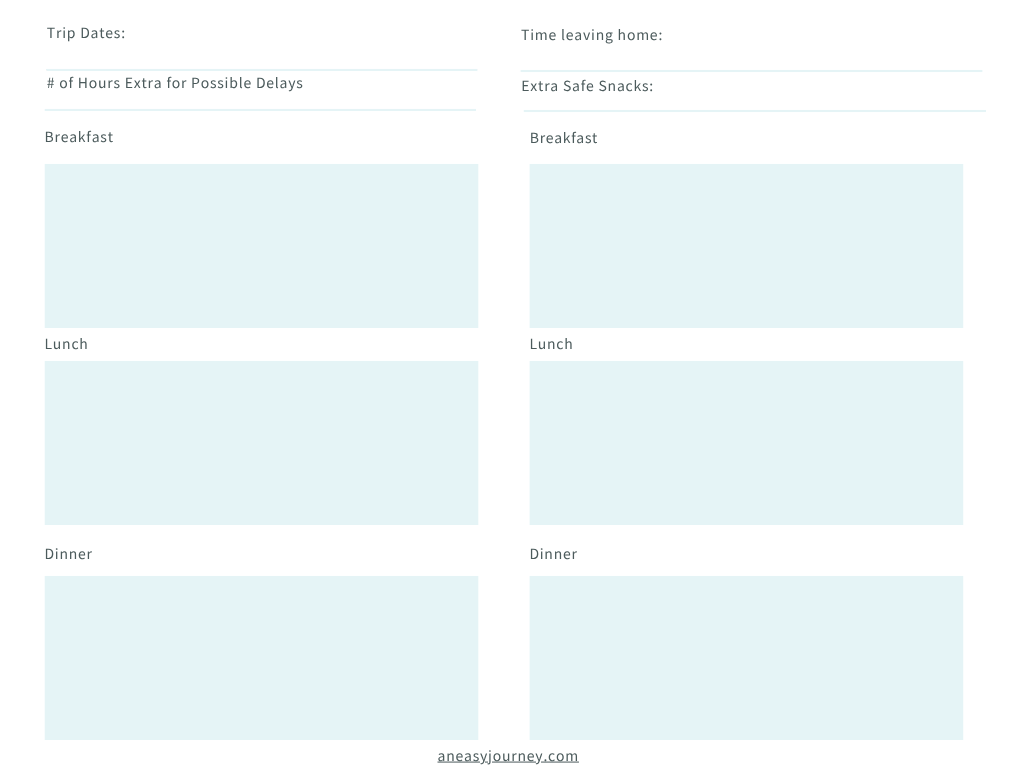Food Allergy Travel Food Plan.