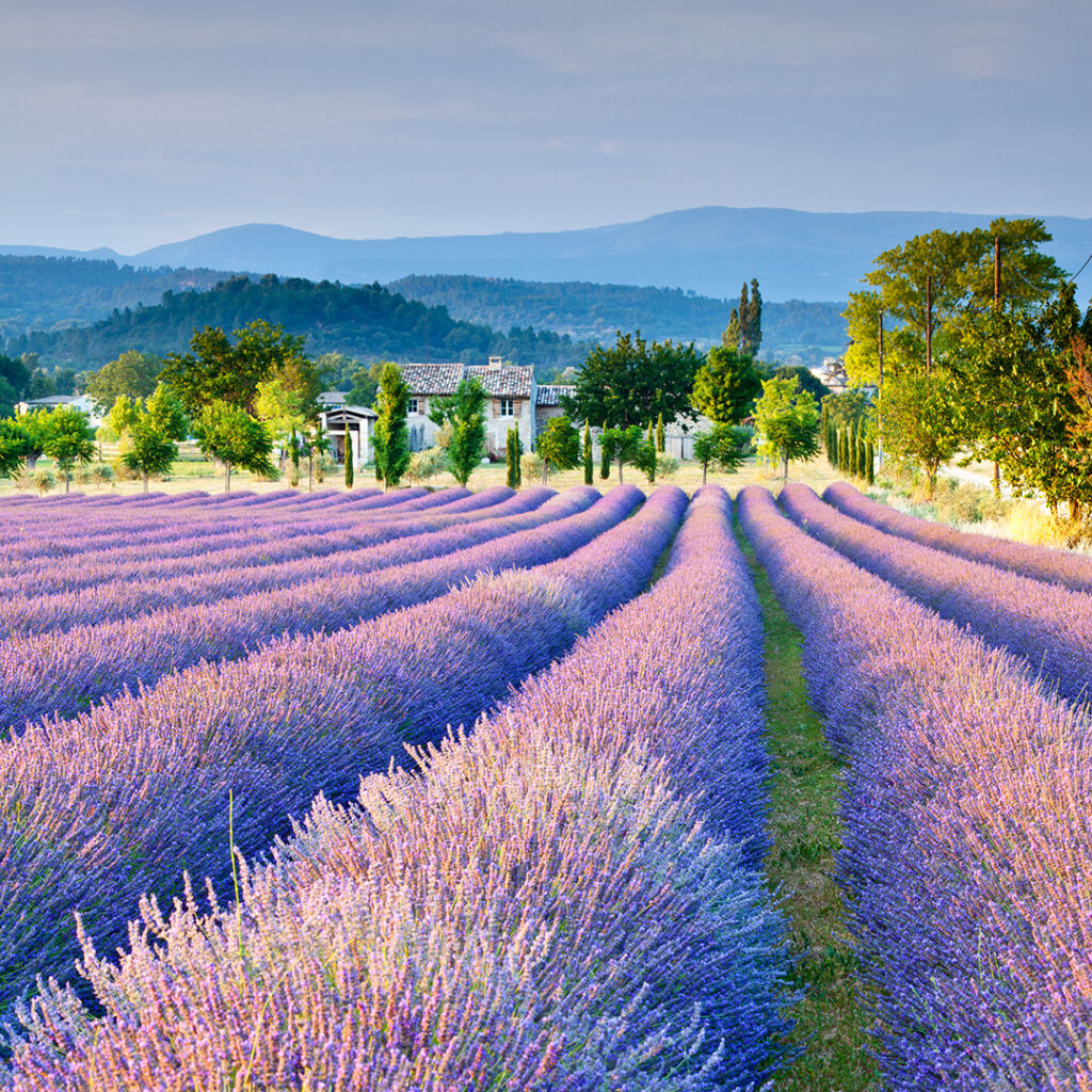 Provensie.ce, France on Viking's River cru