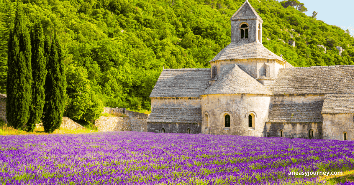 Lavendar and luxury South of France and Monaco with food allergies.