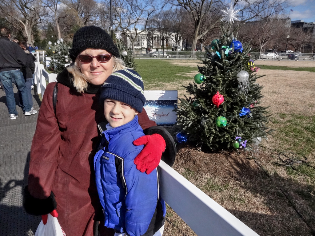 christmas in DC photo